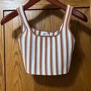EOS Striped Crop Top - Brown and Blue